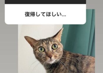 Ca4dc22159ecc787d4ba66d5e82d7c5b.md .jpg