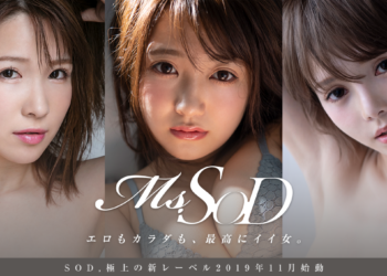 Main220191111190708.png