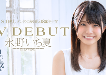 Main520190618143558.png