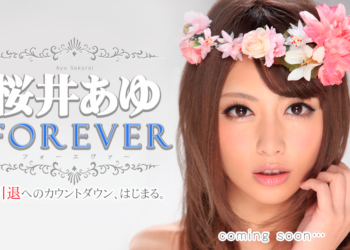 Popup sakurai lp.png