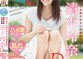 Sdmu 357 l.jpg