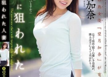 Shkd521pl.jpg