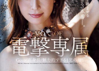 50597264d374a41dab928ac93b0bf0d8