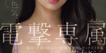 55b5ab351caf2791225571fb4352b557