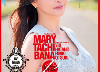 3bea68c237617c47b53ddf6aa467842e