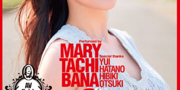 3bea68c237617c47b53ddf6aa467842e