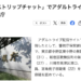 31c40b0a335527f477fa96af21300f4b